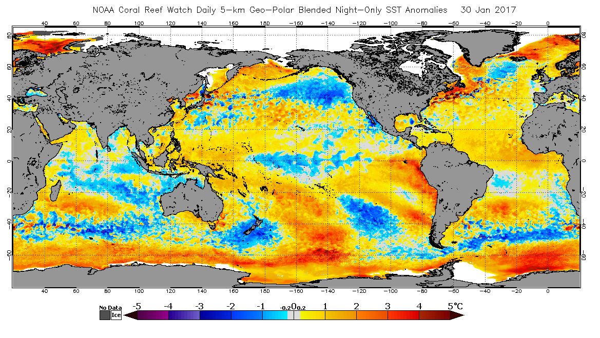 Could El Nino come back?